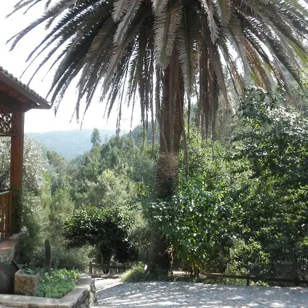 Casa Velha Villa Figueiro Dos Vinhos Exterior photo