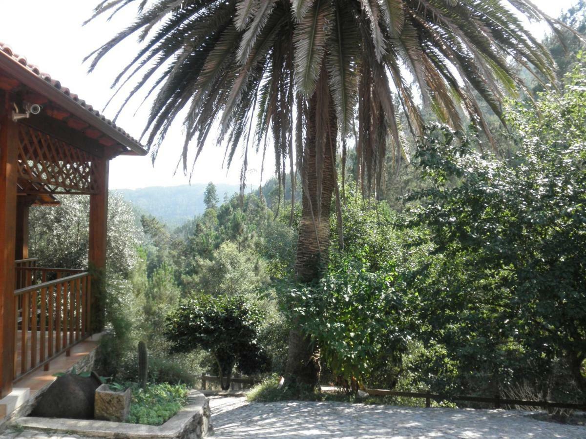 Casa Velha Dom wakacyjny Figueiro Dos Vinhos